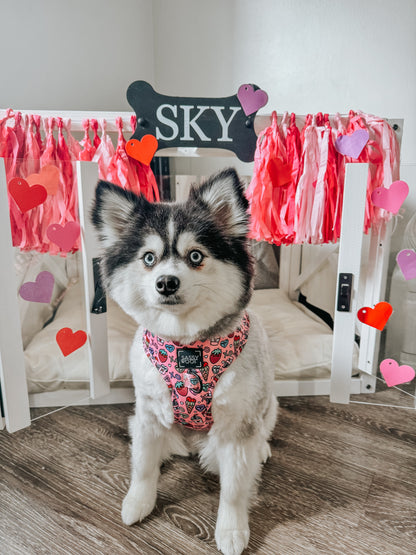 Dog Adjustable Harness - I Chews You