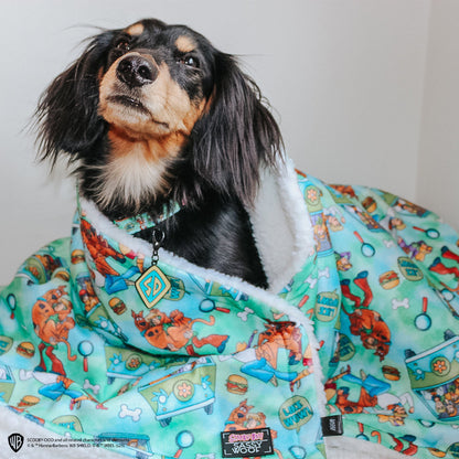 Pet Blanket - Scooby-Doo™