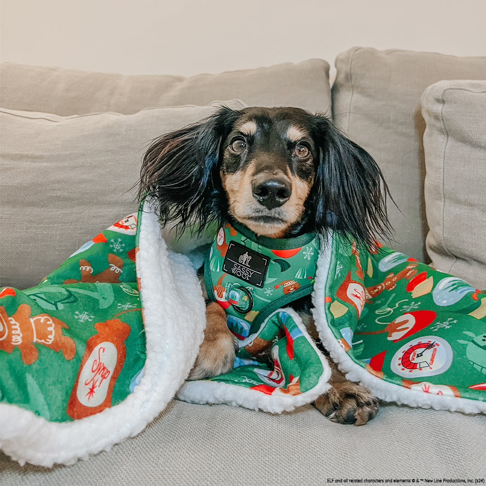 Pet Blanket - Elf™