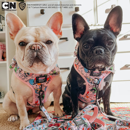 Dog Two Piece Bundle -  The Powerpuff Girls™ (Pink)