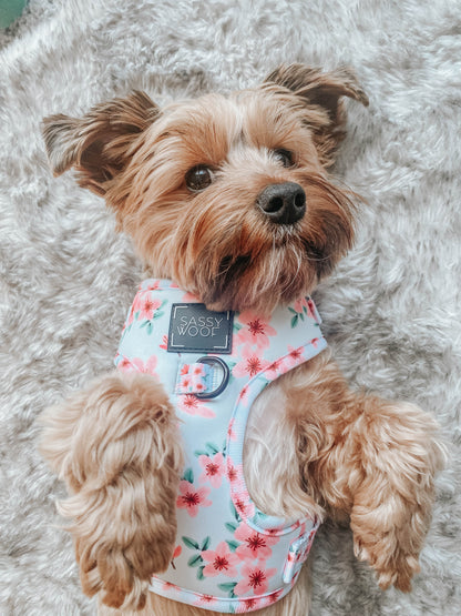 Dog Adjustable Harness - Sakura
