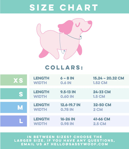 Dog Collar Three Piece Bundle - Care Bears™ Grumpy Bear