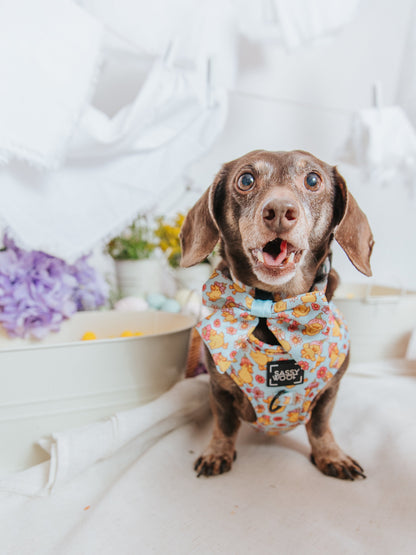 Dog Four Piece Bundle - Good Duck, Babe!