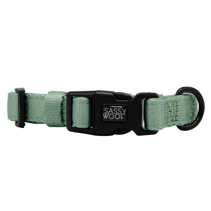 Dog Collar Three Piece Bundle - Sage