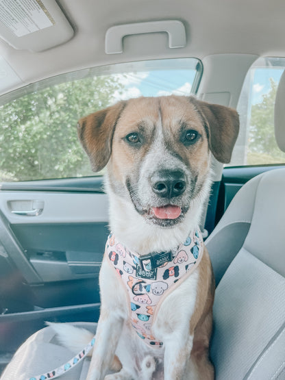 Dog Collar - Mixed With Love