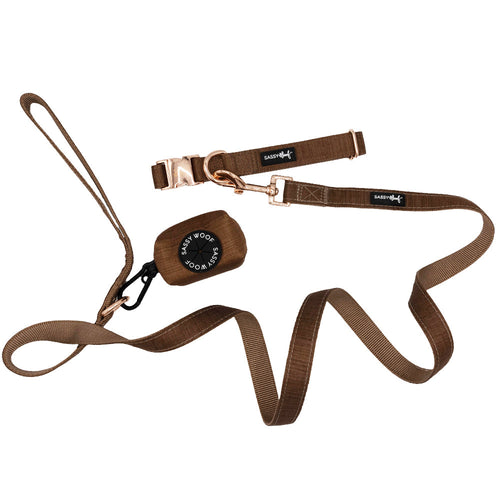 Dog Collar Three Piece Bundle - Teddy