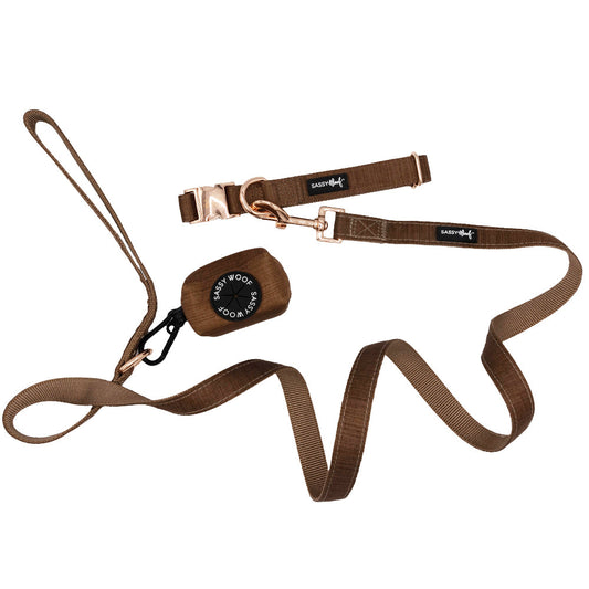 Dog Collar Three Piece Bundle - Teddy