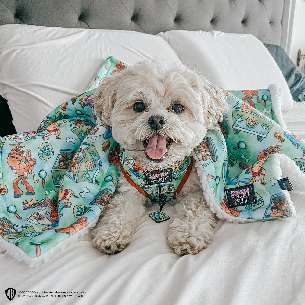 Pet Blanket - Scooby-Doo™