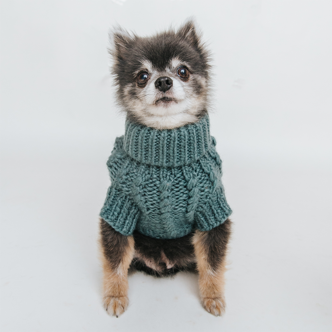 Pet Cable Knit Sweater - Teal