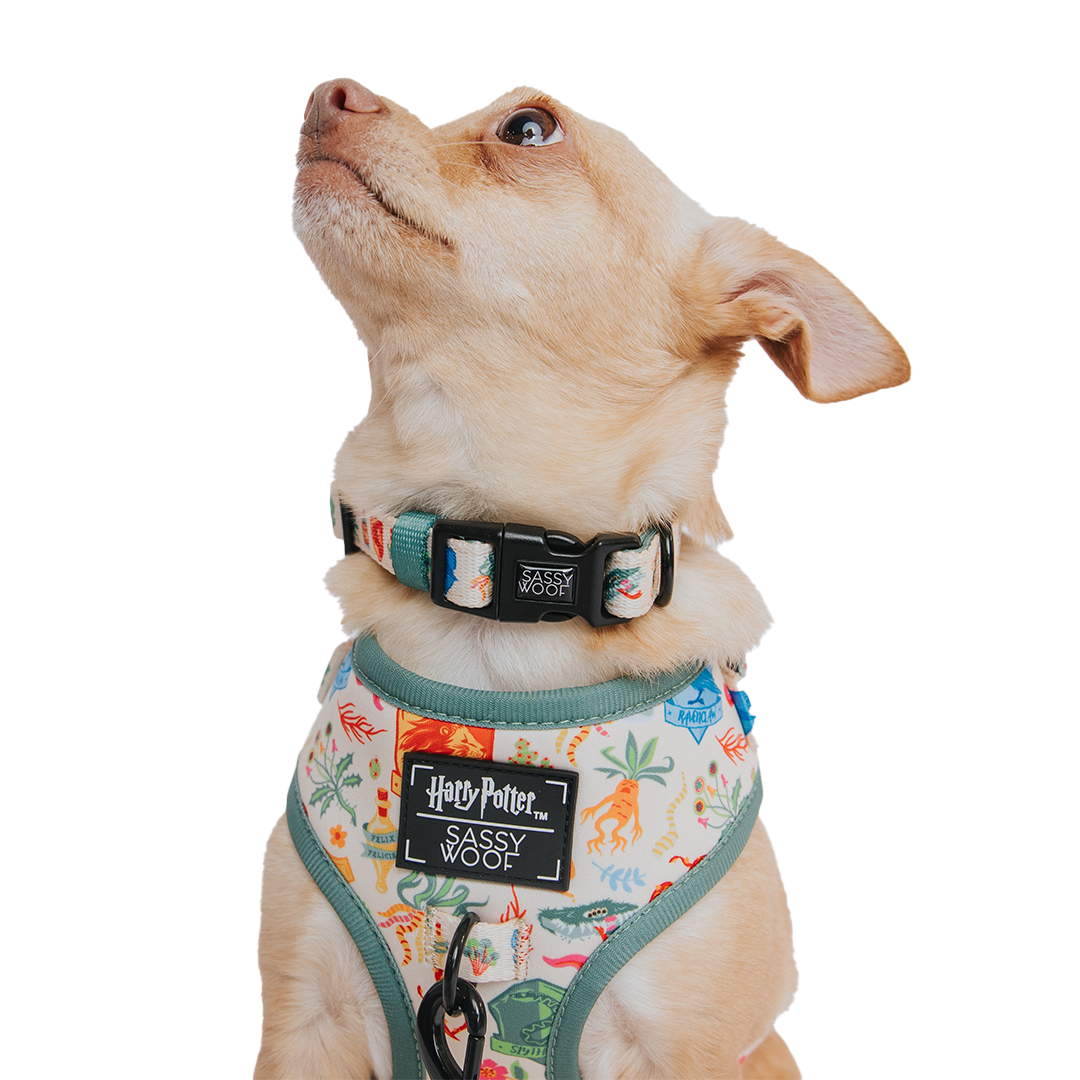 Harness Three Piece Bundle - Harry Potter™ Herbology