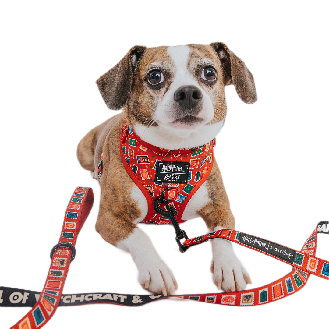 Dog Leash - Harry Potter™ Stamps
