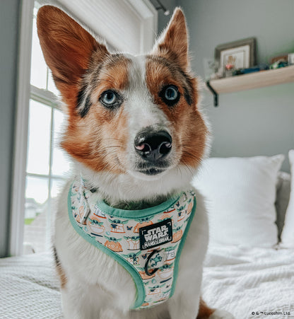Dog Adjustable Harness - STAR WARS™ The Child™