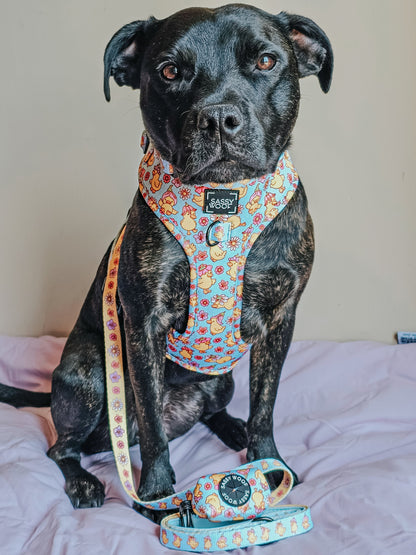Dog Four Piece Bundle - Good Duck, Babe!