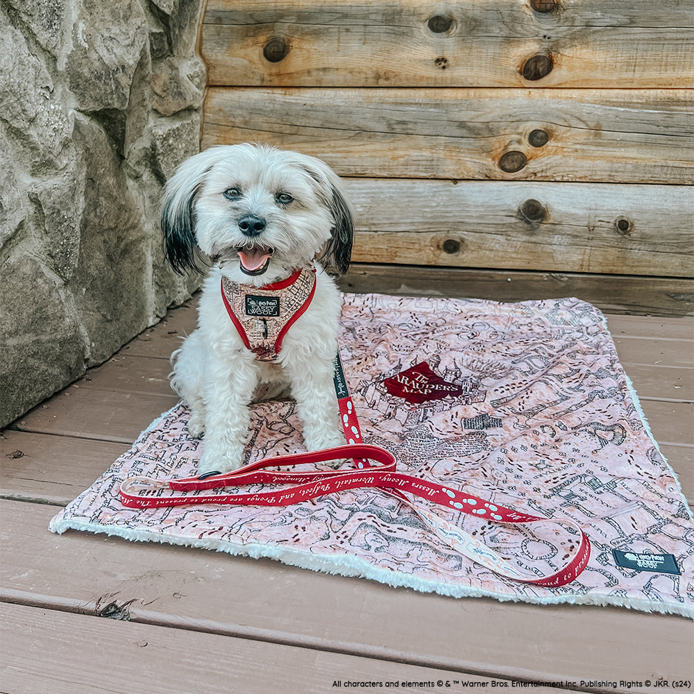 Pet Blanket - Harry Potter™ Marauder's Map™