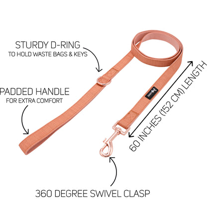 Dog Collar Three Piece Bundle - Apple Cider