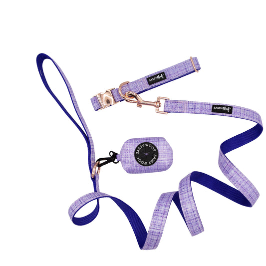 Dog Collar Three Piece Bundle - Aurora