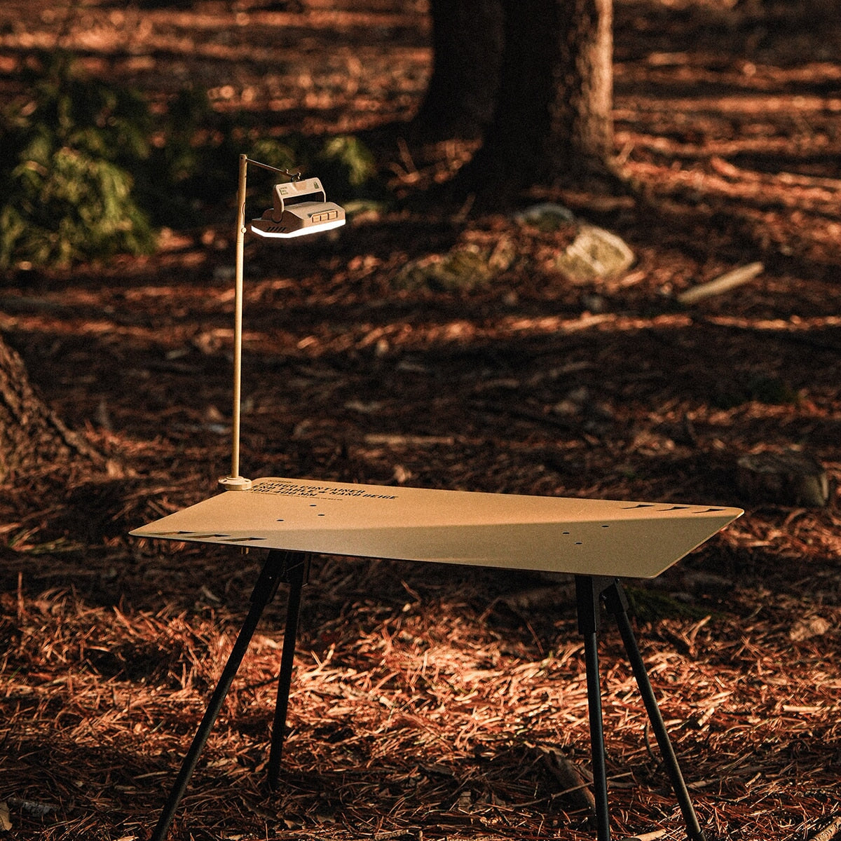 CARGO Comfort Slim Light Pro