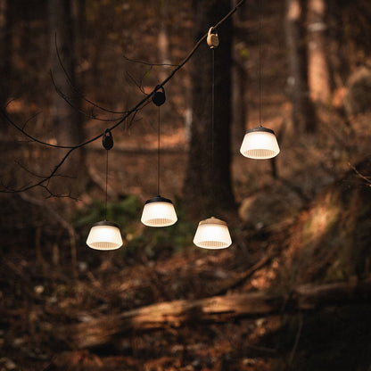 CARGO Reel Light (Mini/Pro)