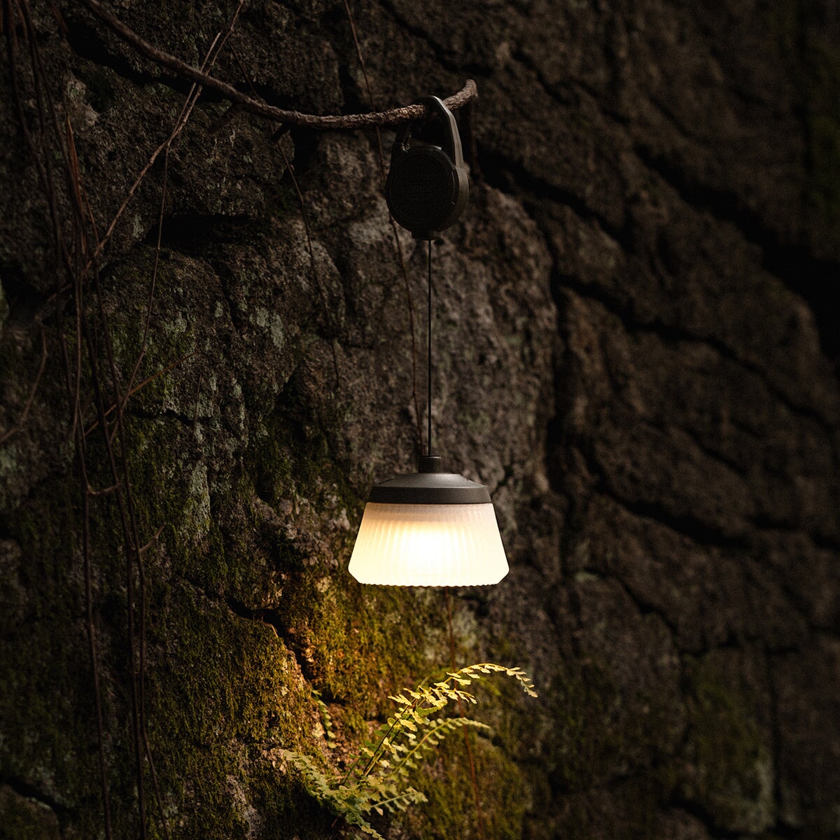 CARGO Reel Light (Mini/Pro)