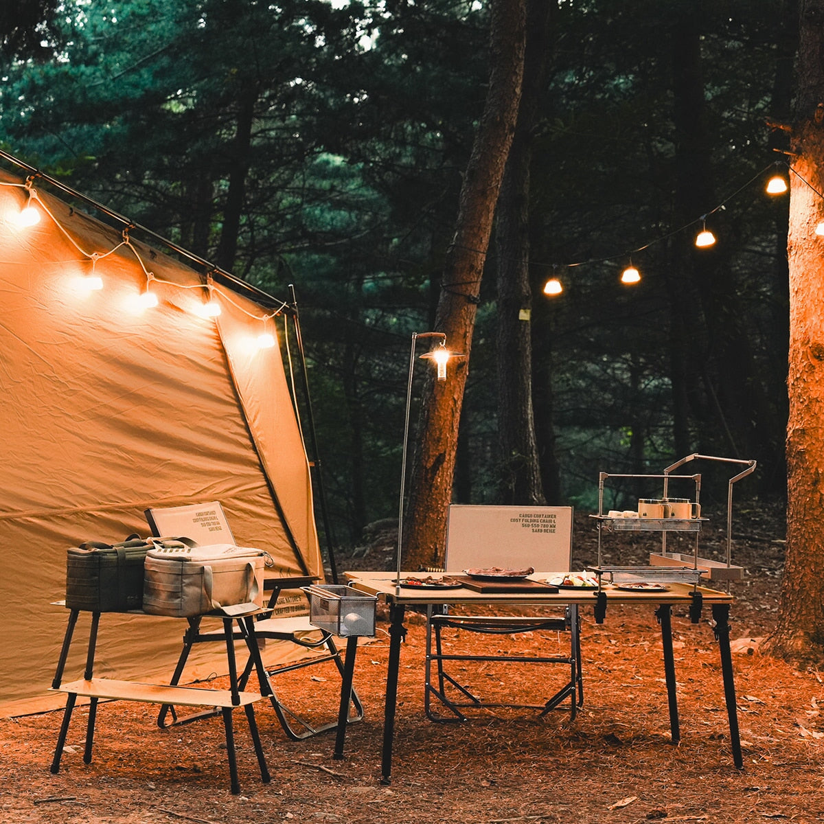 CARGO Shine String Light 7