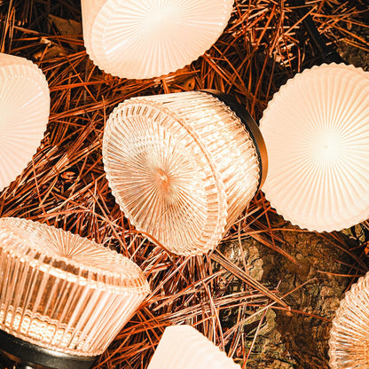 CARGO Shine String Light 7