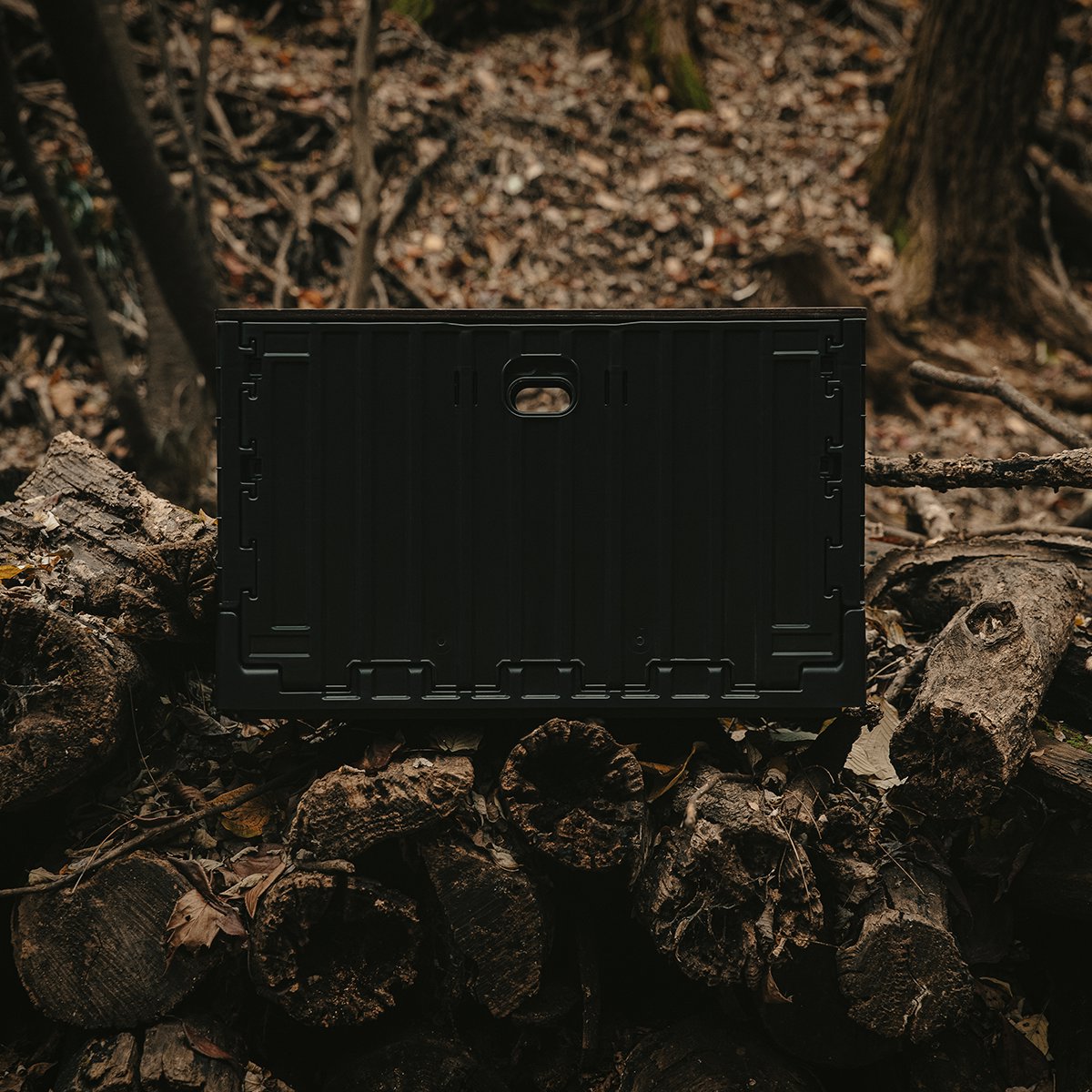 CARGO Signature Folding Box