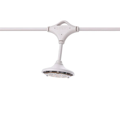 CLAYMORE Cadena 3 String light