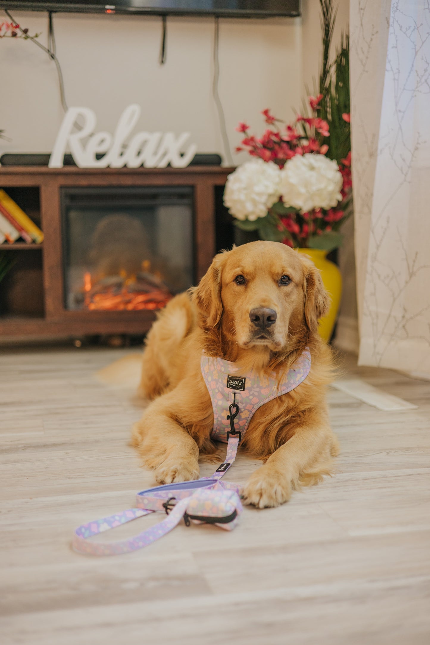 Dog Four Piece Bundle - Fleur de Sass