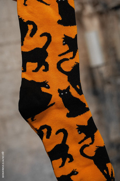 Creepy Crew Socks [Halloween Cats]