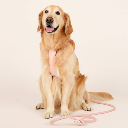 Hozi - All-in-one Harness : Pink