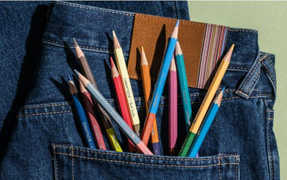 Caran d'Ache x Paul Smith Bicolor Pencil & Brush Set - 5th Edition