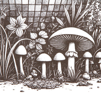 Ecology Disco Labs NYC - Art Print