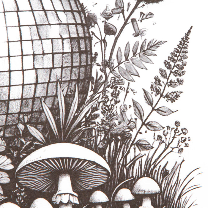 Ecology Disco Labs NYC - Art Print