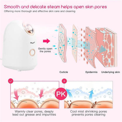 Face Steamer Facial Cleaner - foxberryparkproducts
