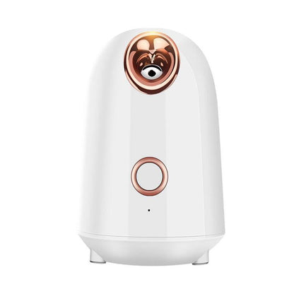 Face Steamer Facial Cleaner - foxberryparkproducts