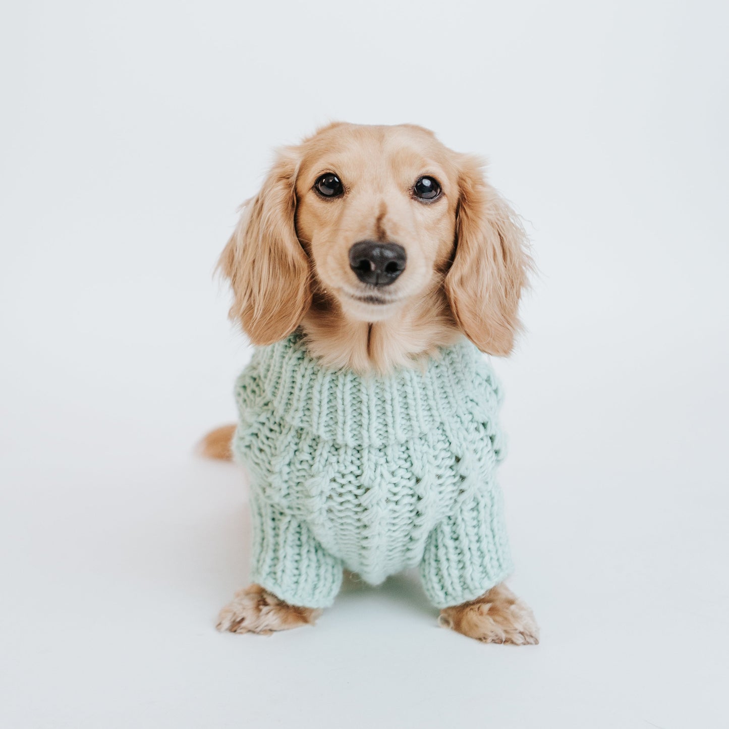 Pet Cable Knit Sweater - Mint