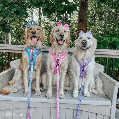 Dog Leash - BARBIE™ Malibu
