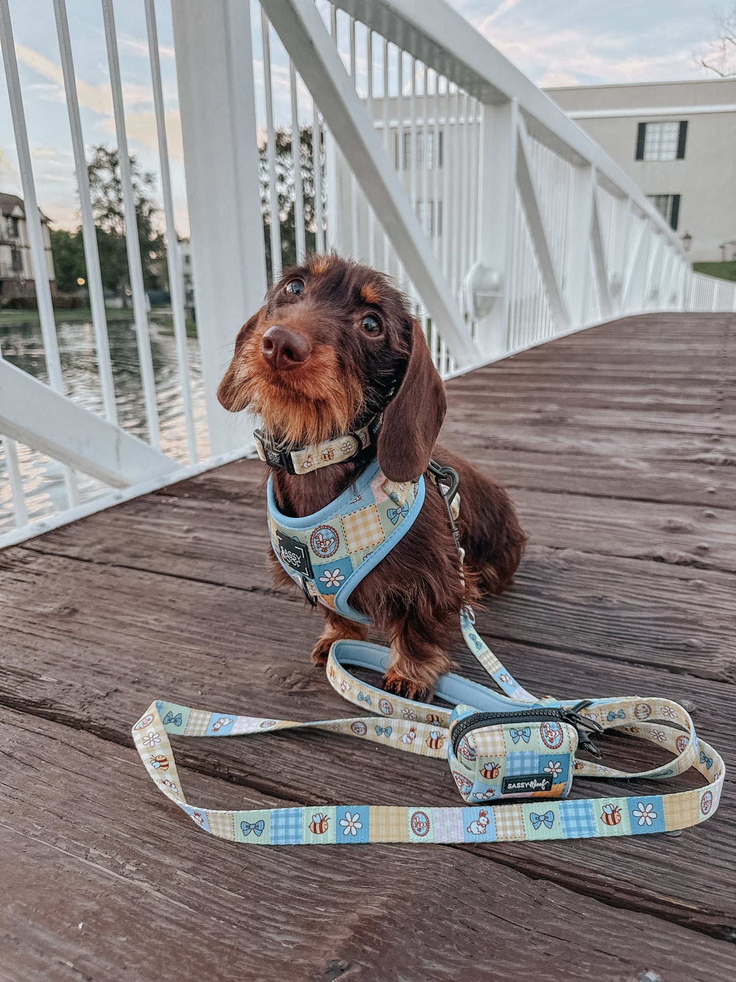 Dog Four Piece Bundle - Patch Perfect