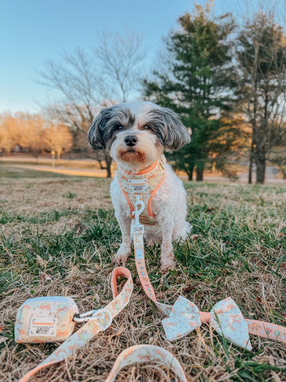 Dog Two Piece Bundle - Pompompurin™