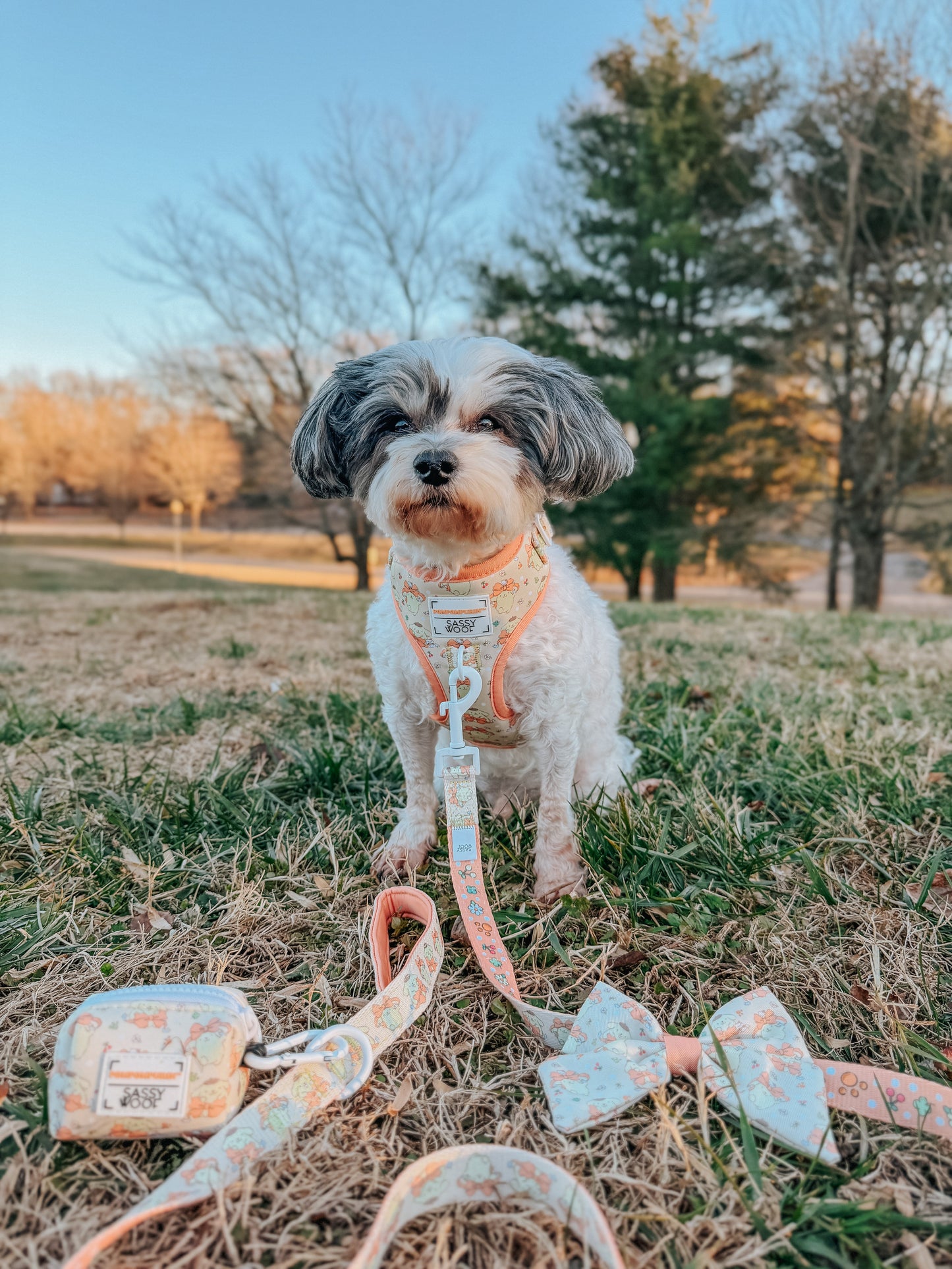 Dog Waste Bag Holder - Pompompurin™