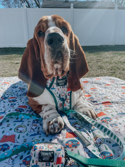 Dog Leash - Peanuts™ Beagle Scouts