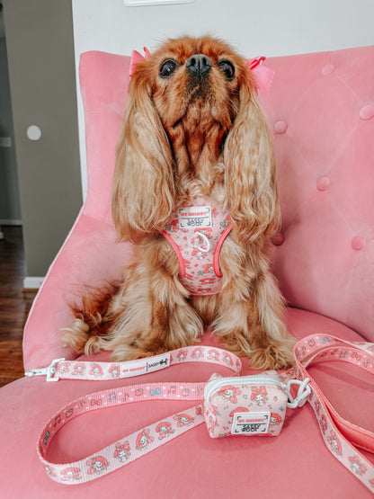Dog Two Piece Bundle - My Melody™
