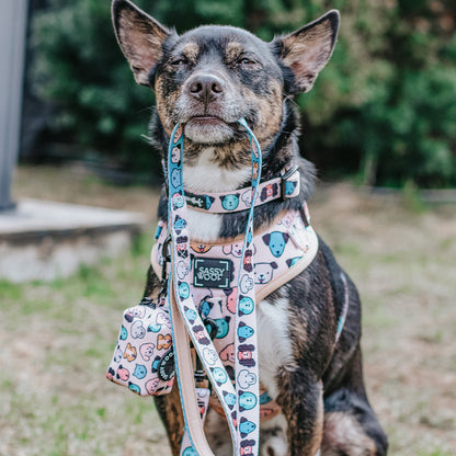 Dog Collar - Mixed With Love
