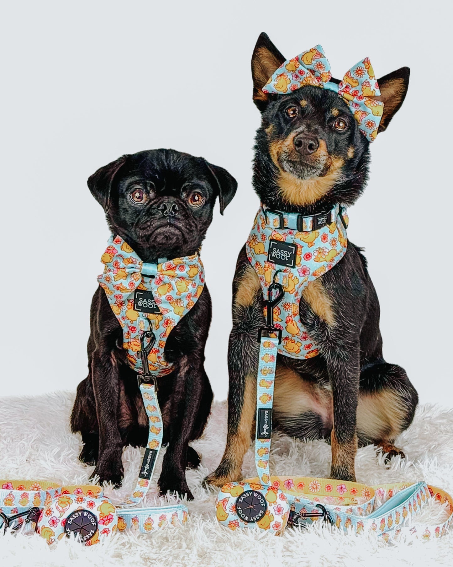 Dog Four Piece Bundle - Good Duck, Babe!
