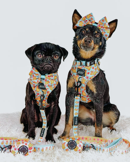 Dog Four Piece Bundle - Good Duck, Babe!