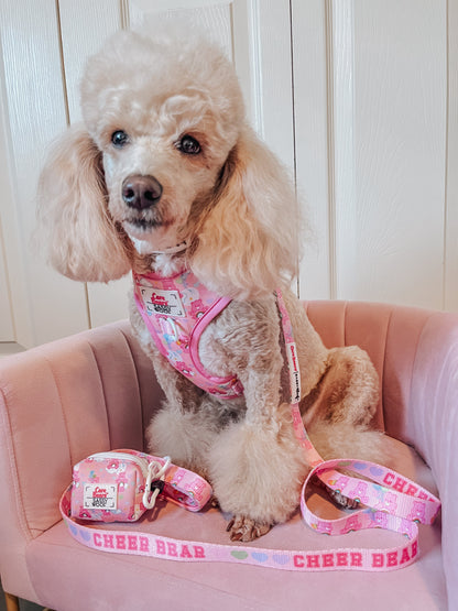 Dog Two Piece Bundle - Care Bears™ Cheer Bear