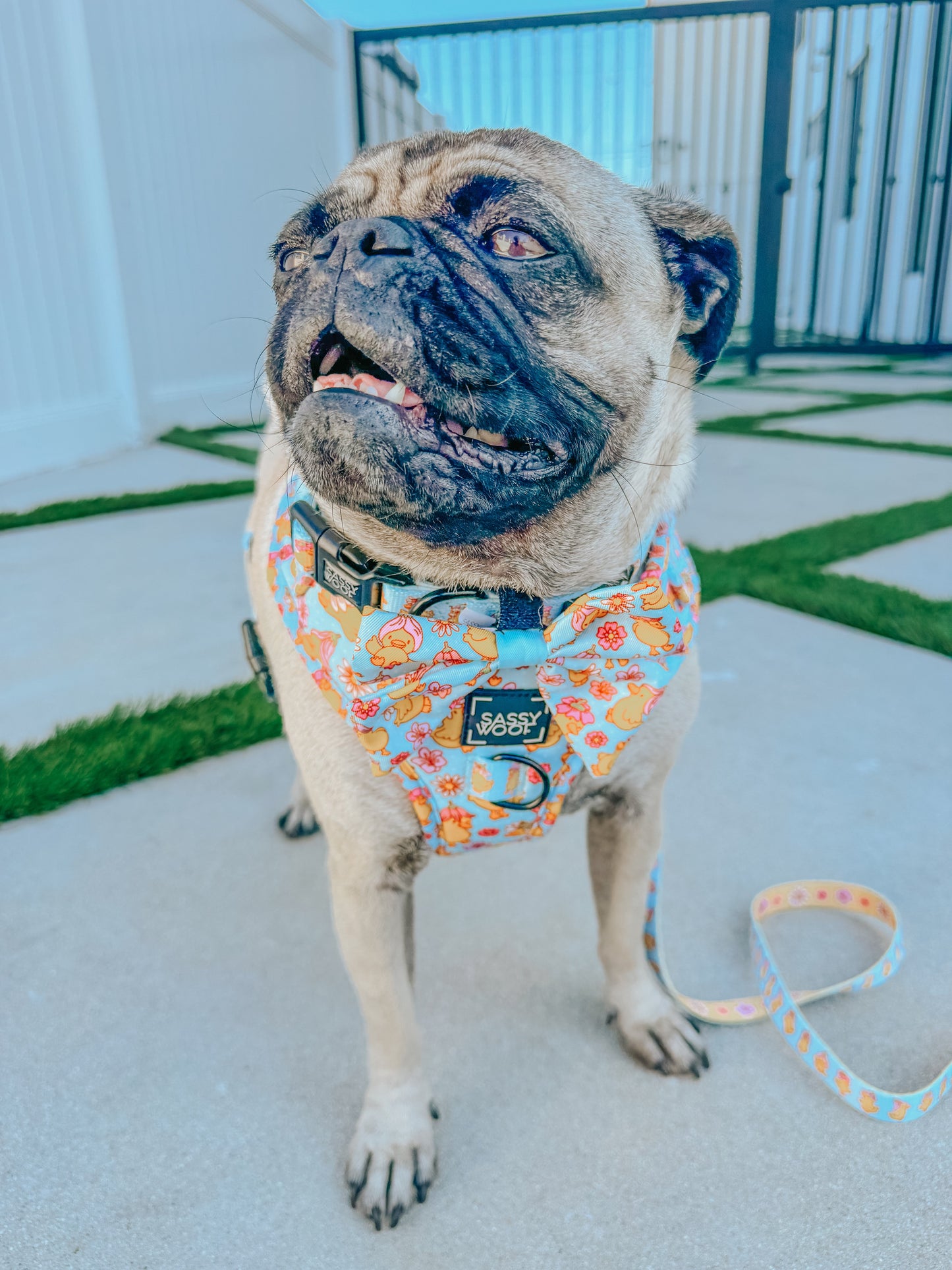 Dog Sailor Bow - Good Duck, Babe!