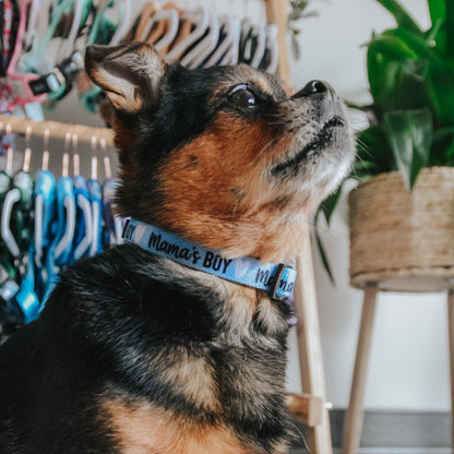 Dog Three Piece Bundle - Mama's Boy