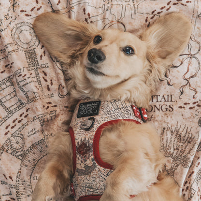Pet Blanket - Harry Potter™ Marauder's Map™