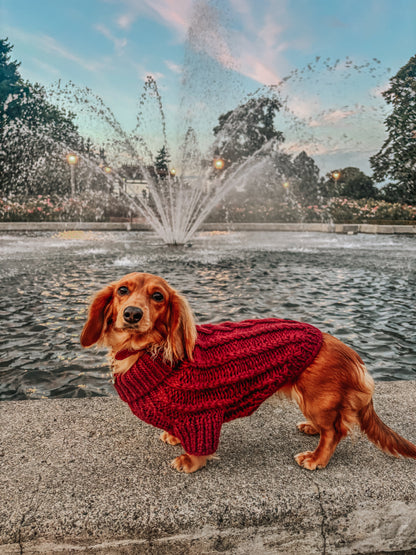 Pet Cable Knit Sweater - Red